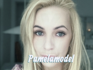 Pamelamodel