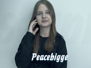 Peacebigge