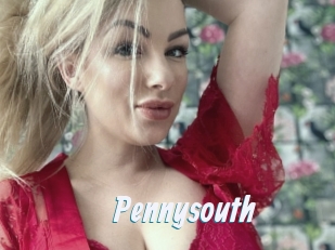 Pennysouth