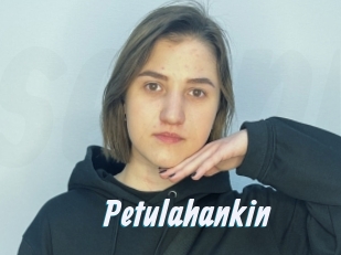 Petulahankin