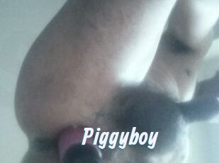 Piggyboy