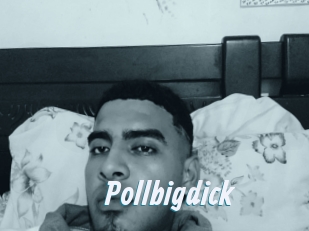 Pollbigdick