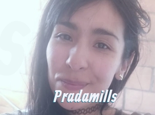 Pradamills