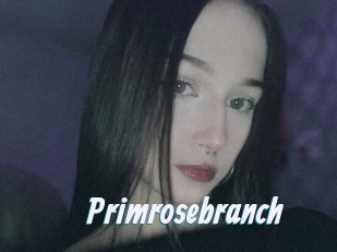 Primrosebranch