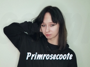 Primrosecoote