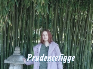 Prudencefigge