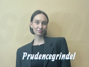 Prudencegrindel