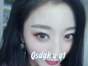 Qsdgh_q_q1
