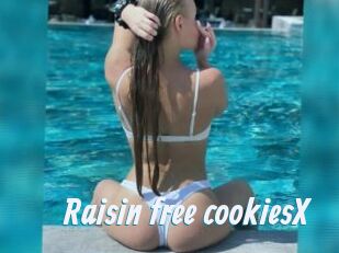 Raisin_free_cookiesX