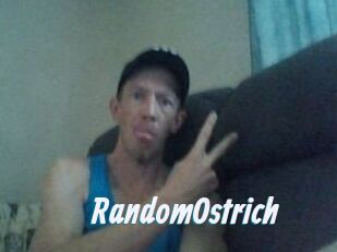 RandomOstrich