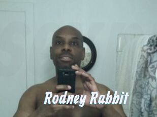 Rodney_Rabbit