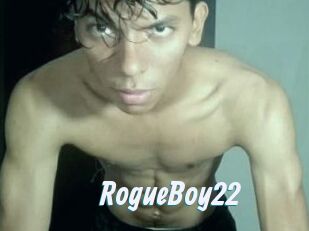 RogueBoy22