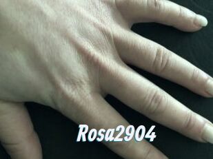Rosa2904