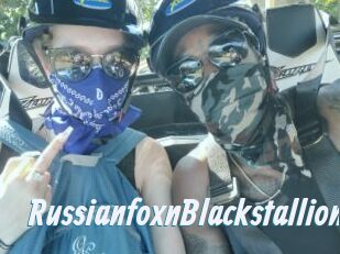 RussianfoxnBlackstallion
