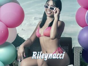 Rileynacci