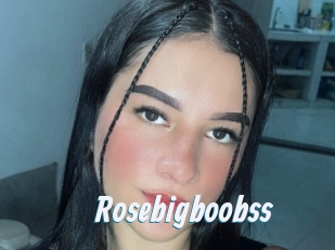 Rosebigboobss