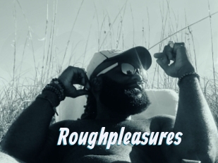 Roughpleasures