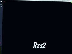 Rzs2