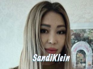 SandiKlein