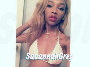 Savannah_Grey