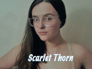 Scarlet_Thorn