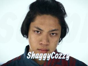 ShaggyCozzy