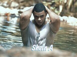 Shein_A