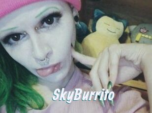 SkyBurrito