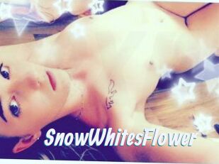 SnowWhitesFlower