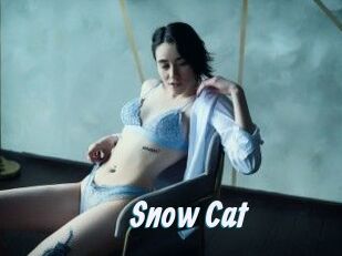 Snow_Cat