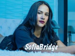 SofiaBridge