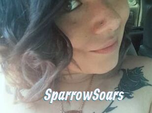 SparrowSoars