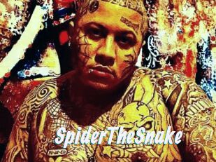 SpiderTheSnake