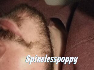 Spinelesspoppy