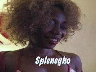 Splenegho