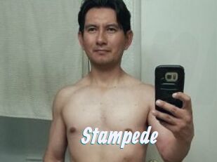 Stampede