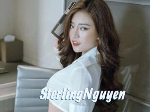 SterlingNguyen