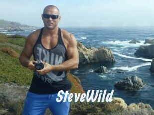 Steve_Wild