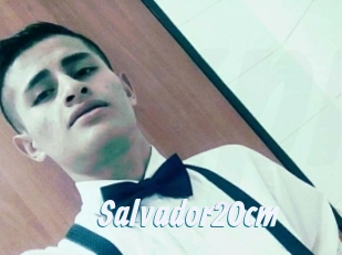 Salvador20cm