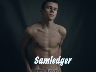 Samledger