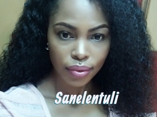 Sanelentuli