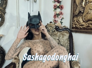 Sashagodonghai