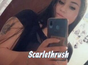 Scarlethrush