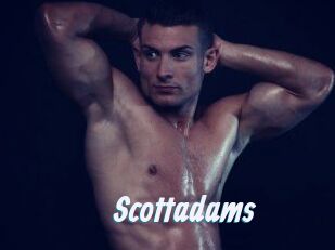 Scottadams