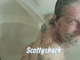 Scottyshark