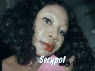 Secypot