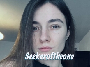 Seekeroftheone