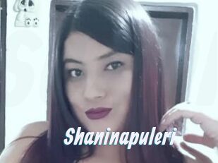 Shaninapuleri