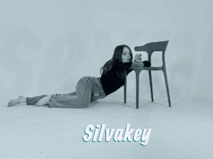 Silvakey
