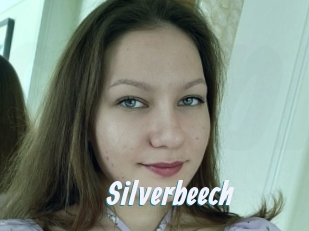 Silverbeech
